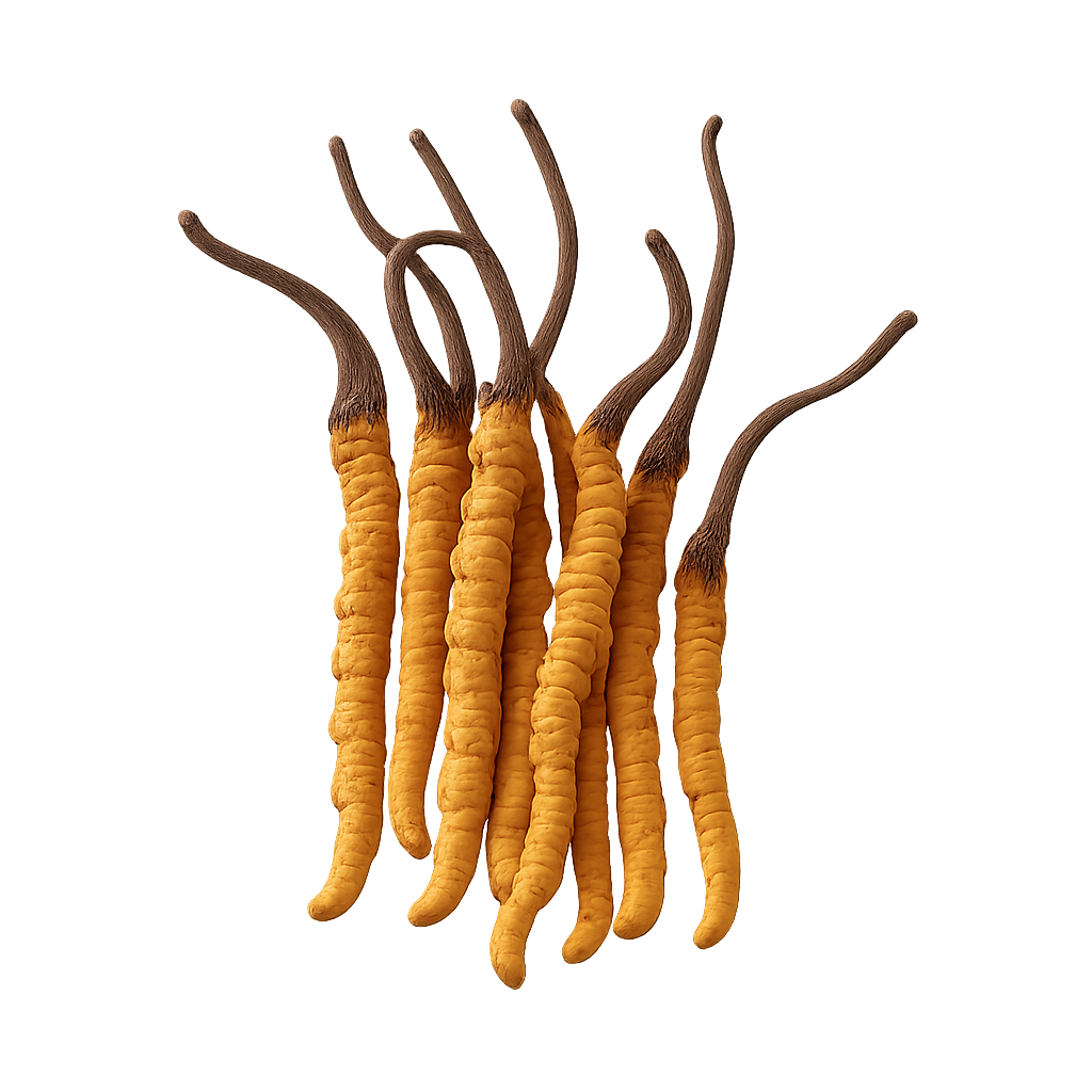 Rituya. Dried yellow chilies with brown stems on a white background
